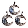 Natural Sodalite Pendants G-L602-01R-14-1