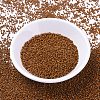 MIYUKI Delica Beads X-SEED-J020-DB2109-2