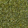 MIYUKI Delica Beads X-SEED-J020-DB2377-3