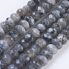 Natural Larvikite Beads Strands G-K255-19-1