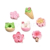 Opaque Resin Imitation Food Decoden Cabochons RESI-F045-03M-2