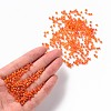 Round Glass Seed Beads SEED-A007-3mm-169B-4