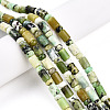 Natural Serpentine Beads Strands G-N346-03A-04-1