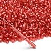 TOHO 6/0 Round Beads SEED-XTR06-2201-2