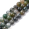 Natural Moss Agate Beads Strands G-F453-8mm-2