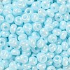 3/0 Glass Seed Beads X1-SEED-L011-03A-05-3