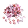 Transparent Acrylic Beads TACR-P013-A06-B-1