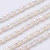 Natural Cultured Freshwater Pearl Beads Strands PEAR-P002-45-01-1