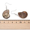 Fossil Spiral Dangle Earrings EJEW-P153-01-3