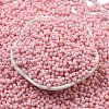 Macaron Color Opaque Frosted Glass Seed Beads SEED-K009-12B-08-2