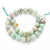 Natural Chrysoprase Beads Strands X-G-S333-6mm-037-2