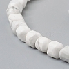 Natural Howlite Beads Strands G-I270-09-3