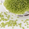 12/0 Glass Seed Beads SDB24-1