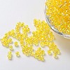 Eco-Friendly Transparent Acrylic Beads PL732-6-1