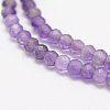 Natural Amethyst Beads Strands LS-G-F460-50-3