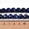 Natural Lapis Lazuli Beads Strands G-S345-10mm-24-5