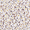 500Pcs Plating Acrylic Beads PACR-TADJ0001-01V-2