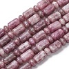 Natural Lepidolite/Purple Mica Stone Beads Strands G-H343-B01-01-2
