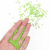 11/0 FGB Grade A Baking Paint Glass Seed Beads X-SEED-N001-A-1024-4