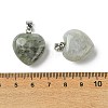 Natural Labradorite Pendants G-F820-10A-06-3