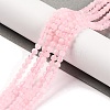 Natural Rose Quartz Beads Strands G-F770-C06-04-1