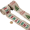 2 Rolls 2 Styles Christmas Printed Linen Ribbon OCOR-GF0002-72-3