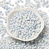 Baking Paint Glass Seed Beads SEED-F006-01A-02-2