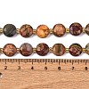 Natural Picasso Jasper/Polychrome Jasper Beads Strands G-C116-A118-01-6