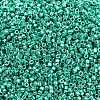 MIYUKI Delica Beads X-SEED-J020-DB2505-2