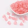 Transparent Acrylic Beads PL622-C10-3