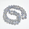 Frosted Electroplate Glass Shell Beads Strands X-EGLA-M002-B03-2