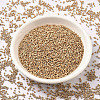 MIYUKI Delica Beads SEED-X0054-DB1152-2