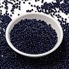 MIYUKI Round Rocailles Beads SEED-JP0009-RR4494-2