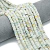 Frosted Natural Flower Amazonite Beads Strands G-K389-C29-01-1