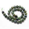 Natural Moss Agate Beads Strands X-G-D840-25-8mm-2