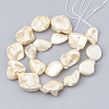 Shell Pearl Beads Strands X-BSHE-Q031-15H-2