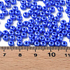 6/0 Czech Opaque Glass Seed Beads SEED-N004-003D-25-6