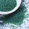 MIYUKI Round Rocailles Beads X-SEED-G007-RR0146FR-1