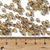 Glass Seed Beads SEED-H002-A-A623-4