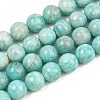 Natural Amazonite Beads Strands G-F461-12-10mm-01-2