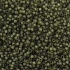 MIYUKI Delica Beads X-SEED-J020-DB2404-2