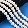 Natural Cultured Freshwater Pearl Beads Strands PEAR-N013-07N-2