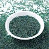 MIYUKI Round Rocailles Beads SEED-G007-RR0344-3