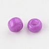 Baking Paint Glass Seed Beads SEED-S002-K13-2