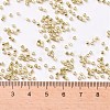 Cylinder Seed Beads SEED-H001-D06-2