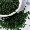 MIYUKI Round Rocailles Beads SEED-X0055-RR0158F-1