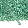TOHO 8/0 Round Beads X-SEED-TR08-2119-3