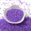Glass Seed Beads X-SEED-S042-13A-10-2