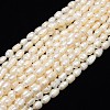 Natural Cultured Freshwater Pearl Beads Strands PEAR-L001-A-20-1