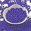 Baking Paint Glass Seed Beads SEED-K009-01A-09-2
